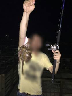 たこつり夕方の部